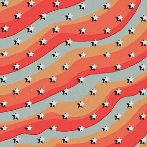 Meet your Posher, Ani